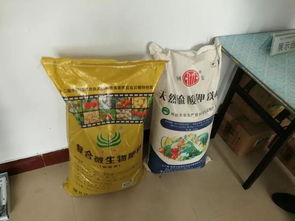 耕耘正當時 四 什么樣的春管讓河南小麥穩(wěn)坐全國第一