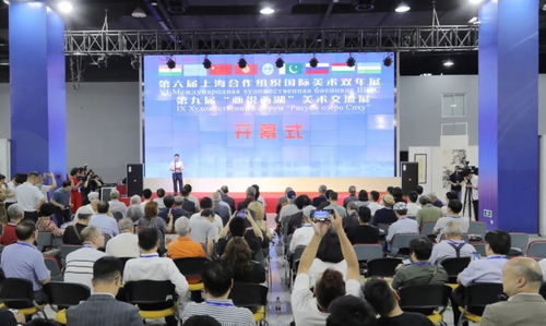 第六屆上海合作組織國(guó)際美術(shù)雙年展暨第九屆畫(huà)說(shuō)西湖美術(shù)交流展在杭州舉行，融合中外藝術(shù)交流